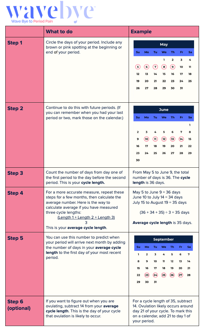 Menstrual Cycle Tracking Guide Wave Bye Inc